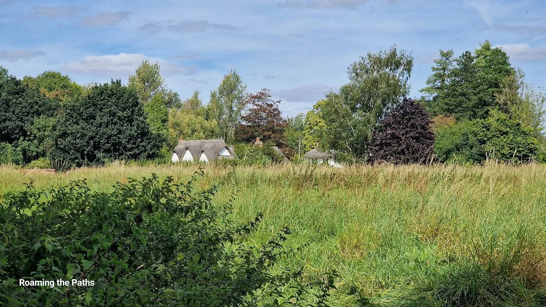 A peaceful rural scene featuring a thatched cottage nestled among tall trees and dense greenery. In the foreground, a wild meadow of tall grasses and shrubs stretches out under a bright blue sky with scattered clouds. The setting evokes a sense of tranquillity and timeless English countryside charm.